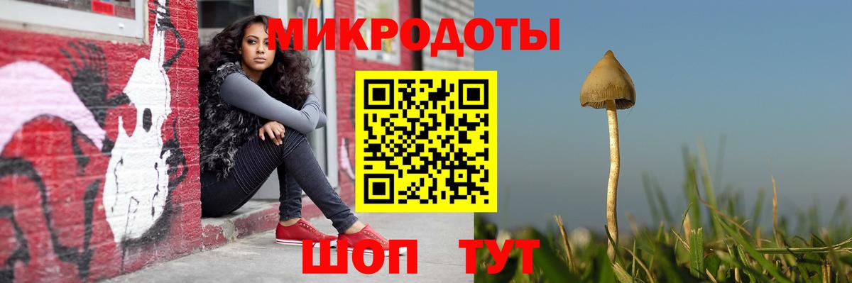 Псилоцибиновые грибы ЛСД Буйнакск
